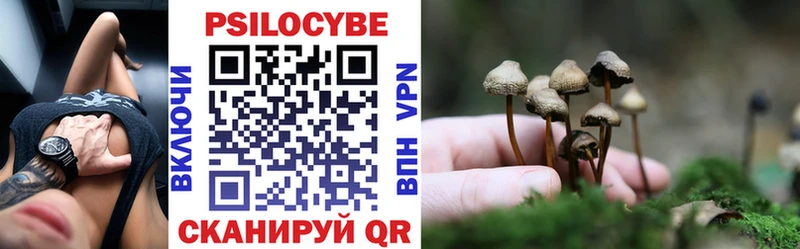 Галлюциногенные грибы Cubensis  Старая Русса 