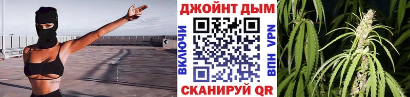 Конопля OG Kush Старая Русса
